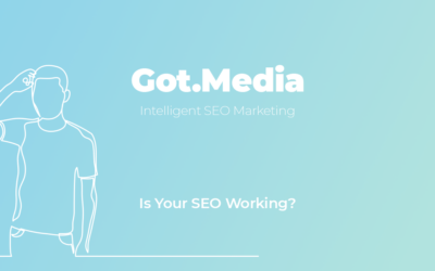 Is your SEO working?