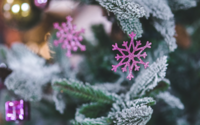 Is Seasonal SEO Right For You?