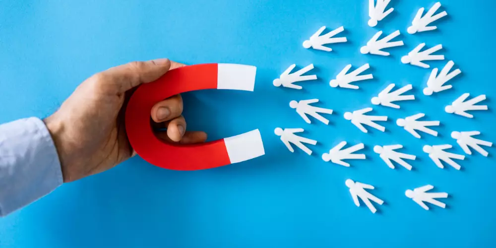 Attract Leads Not SEO Tool Costs