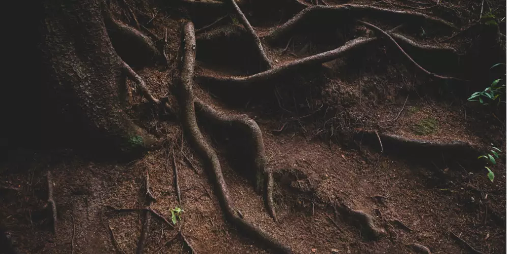 Are Backlinks Still Relevant in 2025?